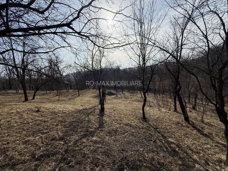 Teren intravilan 2788 mp deschidere 55 ml cu vedere panoramica ! - 9