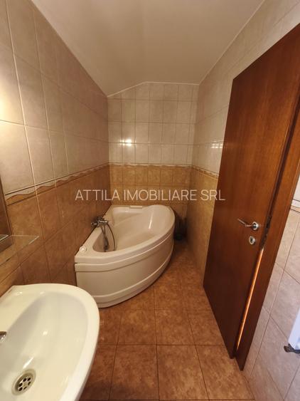Dumbravita apartament la vila 300 euro - 10