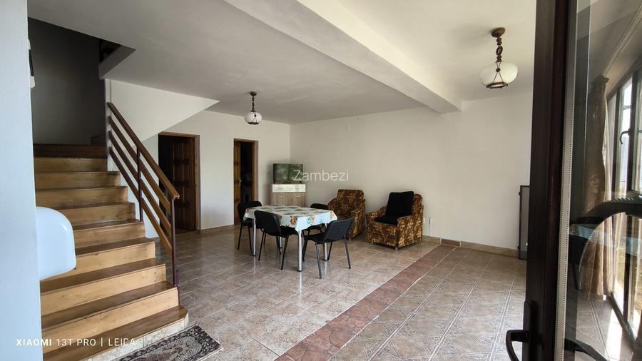 Afacerea Ideala- Vila cu deschidere la Dunare 50 ml cu Ponton amenajat, ESELNIT - 4