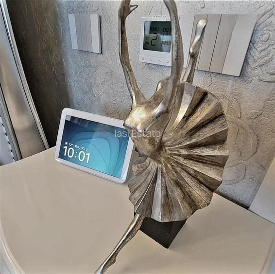 Penthouse cu vedere la Palat, de 266 mp - 12