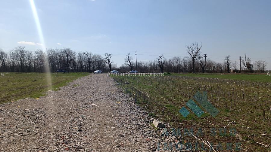 Terenuri Intravilane Industriale - 1.000 mp - Sos. Oltenitei DN 4 / A0 - 4