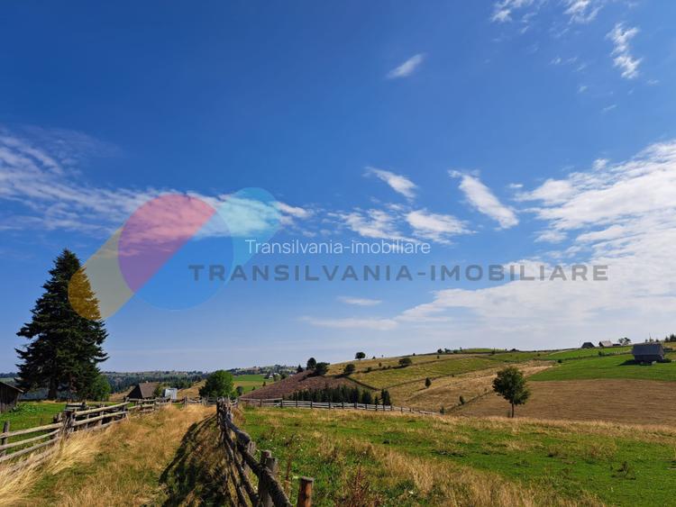 Teren Intravilan 1587 mp, Localitatea Maguri-Racatau - 4