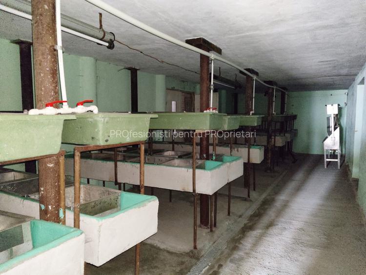 COMISION 0% Oportunitate de afacere/acvacultura in sistem RAS/3150 mp/Cisnadie - 9