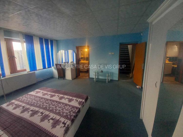 Casa de vanzare la 5 min de Centru cu trei nivele (D+P+1) si teren de 4300mp - 21