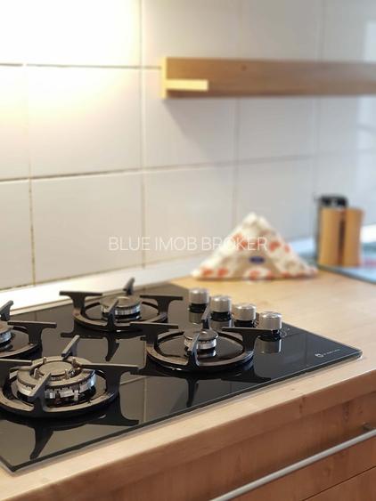 Apartament superb de închiriat – Strada Lăpușneanu - 5