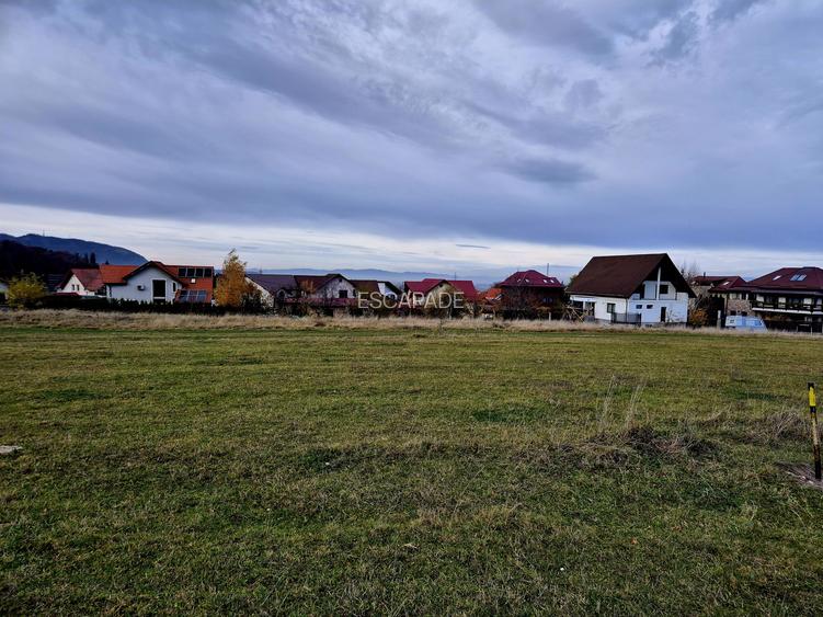 Teren Intravilan superb, 504 mp x 2/ casa locuit Bunloc - 9