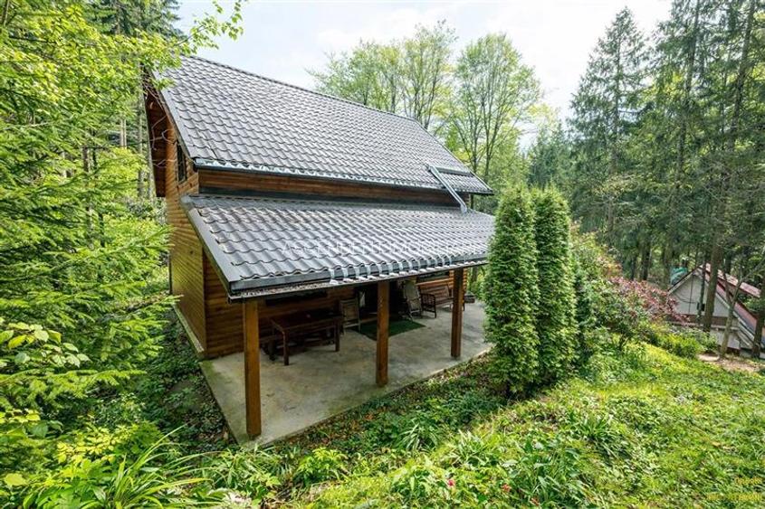 FILM! Rezidenta pe apreciabile conditii, in statiunea Sugas Bai, Covasna - 21