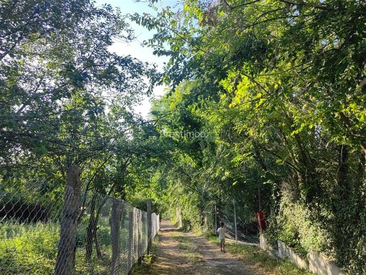 Teren  intravilan 5 arii, Platoul Cornesti ,str Padurii , Targu Mures - 9