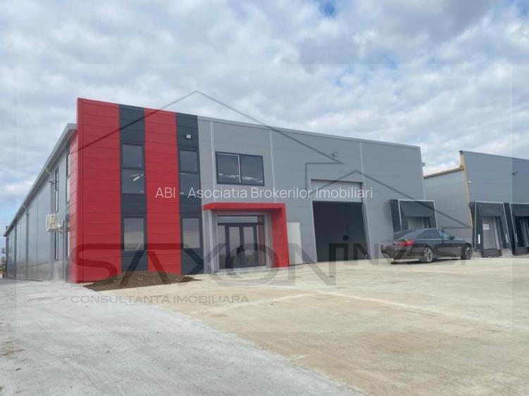 Hala industriala  Park  industrial Chiajna - 5