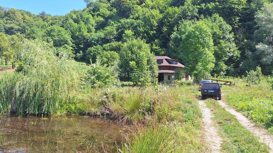 VANZARE ANSAMBLU CASUTE BRADULET ARGES - 22