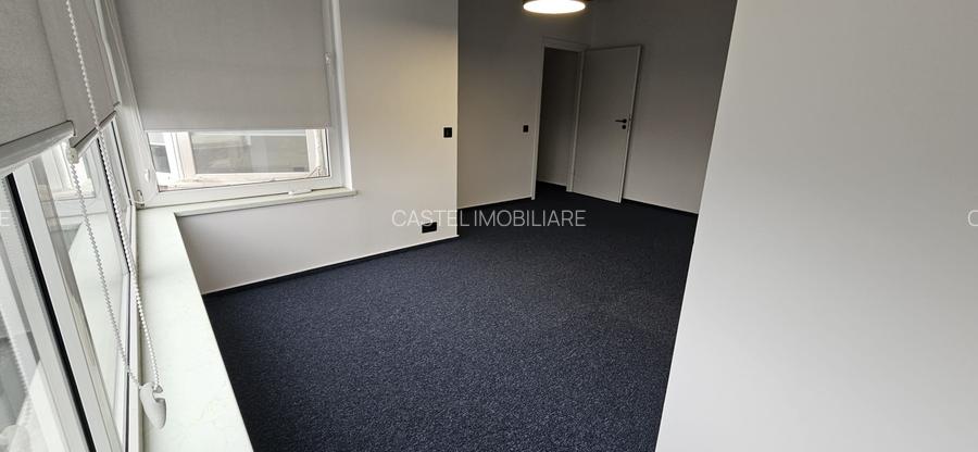 Calea Floreasca - Ceaikovski - 8