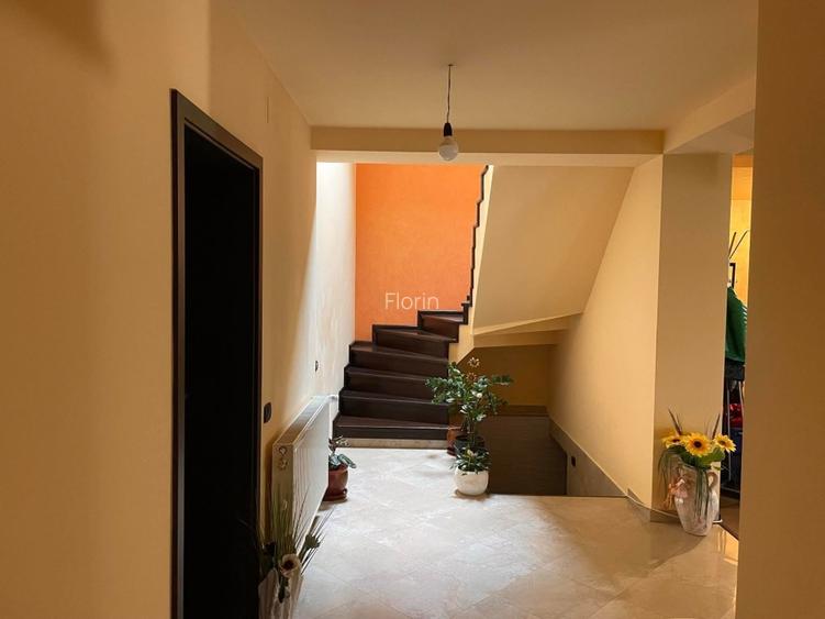 Casa de vanzare in Sag zona linistita, aproape de Timisoara - 6