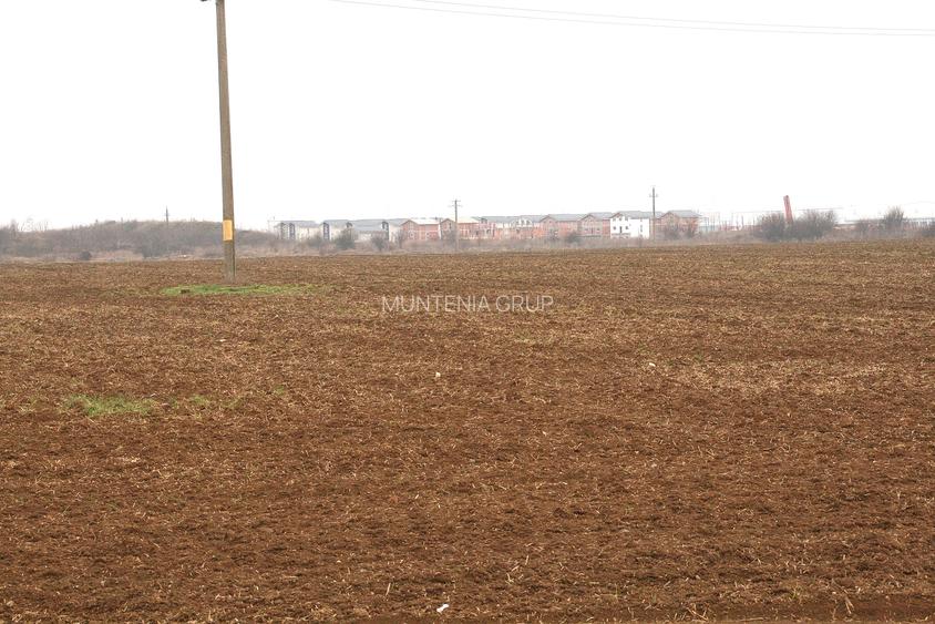 OTOPENI - Str. Drumul Garii Balotesti, 30.400 mp. teren ideal dezvoltare imob. - 6