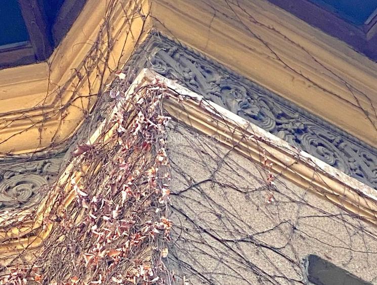 Vila cu arhitectura Aviatorilor - 3