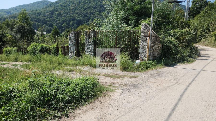 Teren intravilan 2.580 mp Eșelnița, acces DN57, ideal turism, locuinte - 15