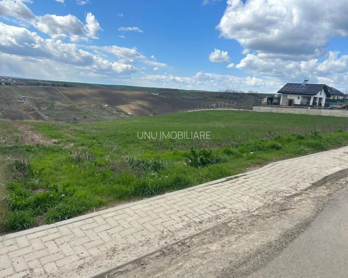 Teren intravilan 3271 mp Valea Lupului, Iași deschidere la asfalt 1 Decembrie - 4