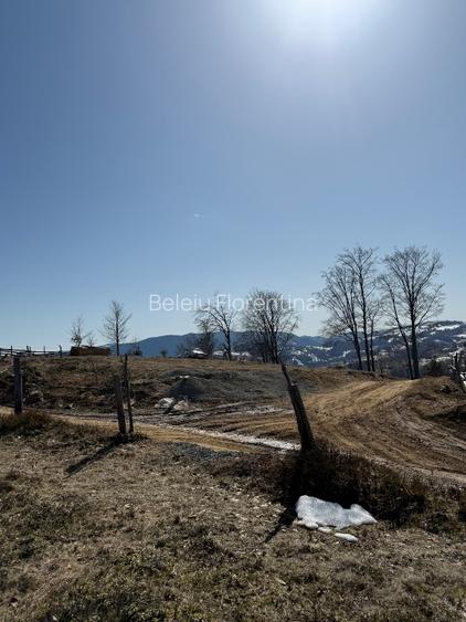 Teren de vânzare în zona de munte  - 4