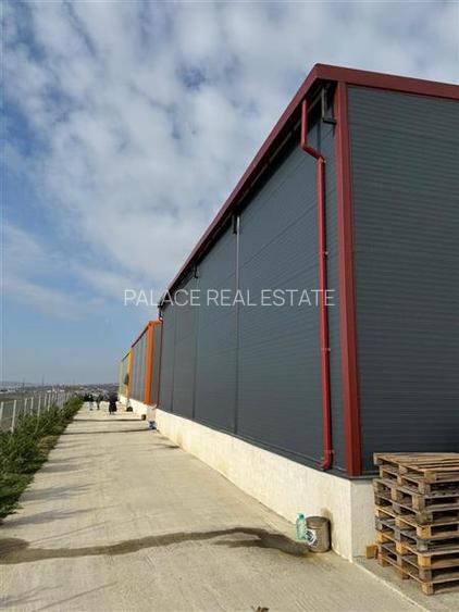 Hala 300 mp, inaltime 6,9, zona Parc Logistic Zeelandia - 3