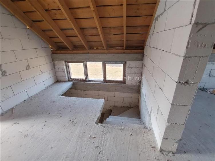 Sadova Veche, Casa la Sosea, cu Teren 3251Mp - 11