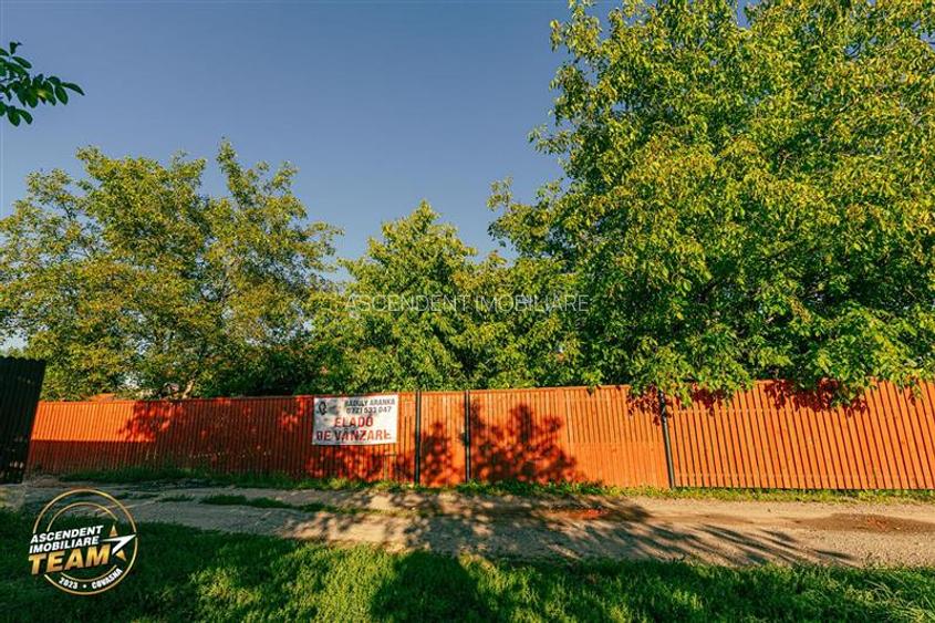 FILM! Casuta cu peste 800mp teren, areal estimabil, Lenin, Sfantu Gheorghe - 14