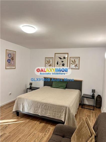 Inchiriere garsoniera IN VILA Piata Victoriei Titulescu CURTE PROPRIE - 23