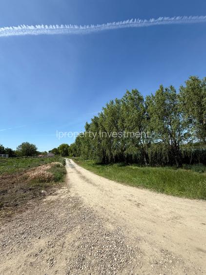 Teren 1.000 Mp | Ileana Calarasi | Dubla Deschidere Stradala | Vedere Lac - 2
