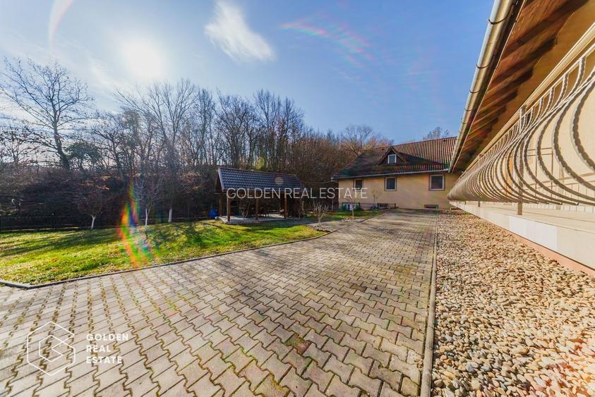 Proprietate pretabila pentru afacere, Cladova - 37