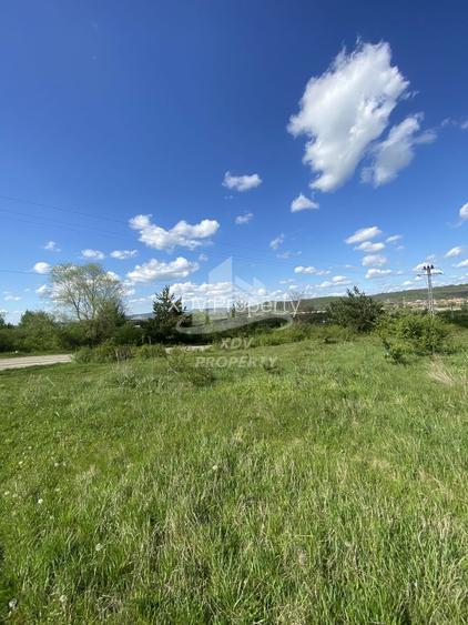 Teren intravilan 12631 mp , Sibiu/ Parc Industrial Selimbar - 11