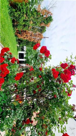 Casa individuala, 360mp, priveliste deosebita, zona Gruia - 17