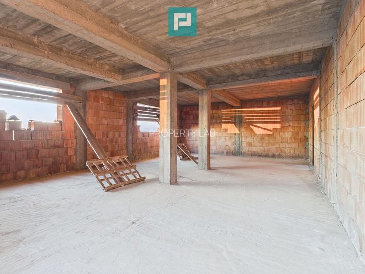 Proprietate impresionantă între Curtici și Macea - 6