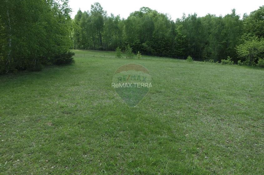 TEREN DE VÂNZARE ÎN PRELUCA NOUA - 7