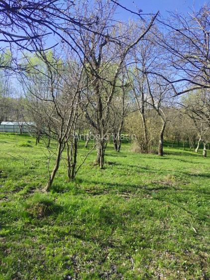 Teren intravilan com.Drajna, sat Cătunu, 12 km de Vălenii de Munte, jud. Prahova - 7