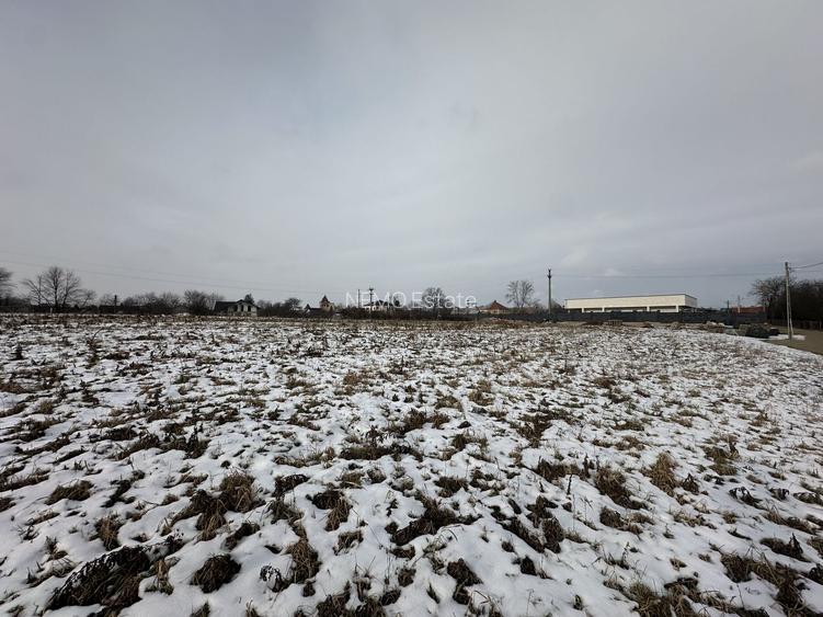 Teren intravilan | 61 ari | Parcelabil | Radauti - 6