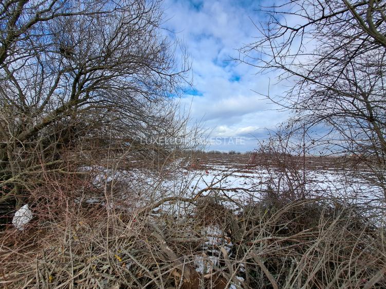 TEREN SNAGOV LANGA ARTIST THE BARN - 2