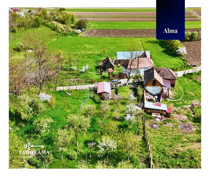 Teren Intravilan cu cabana  in satul transilvanean Alma - 4