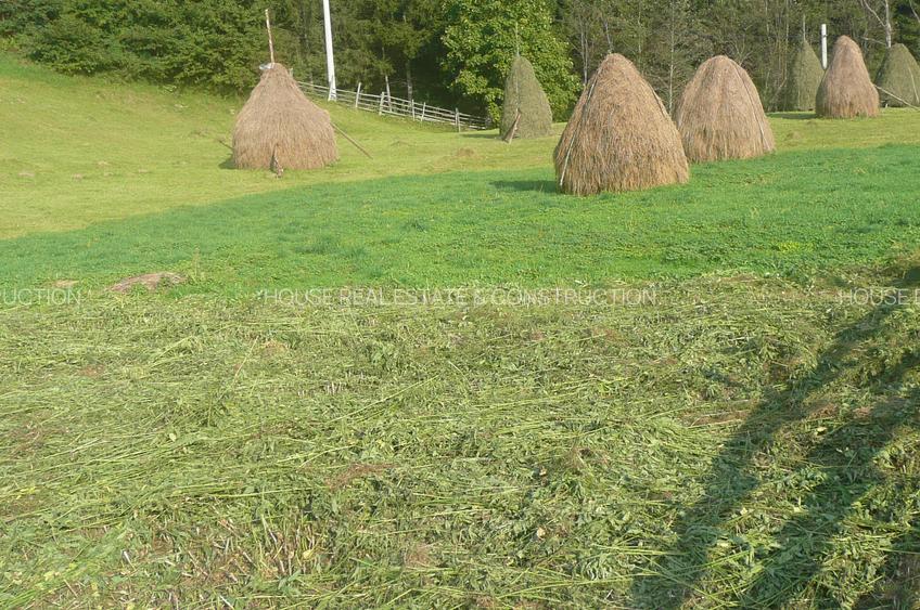 Teren intravilan situat in Traiteni,Valea Doftanei - 4