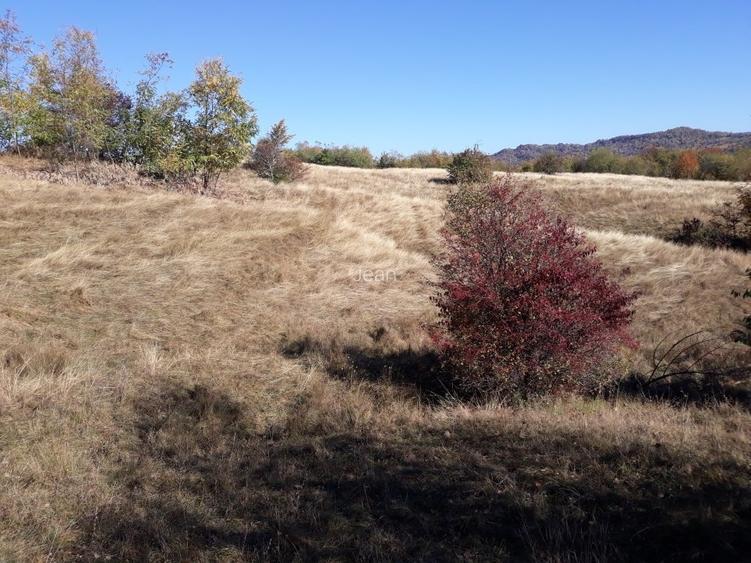 OFERTĂ SPECIALĂ! Teren intravilan de vânzare în Câmpina pe Dealul Muscel - 8