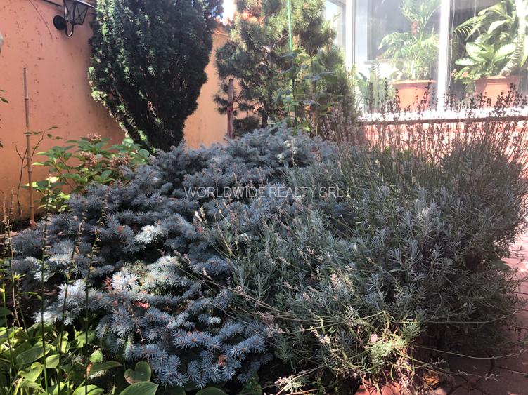 Vila noua, teren de aproape 800 mp, zona de case - 5