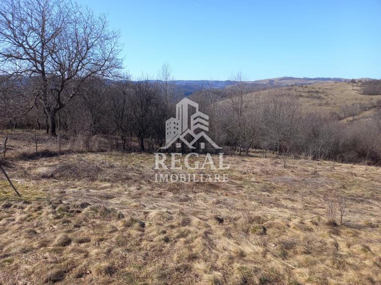 Două case de vânzare – Cerisor – teren generos 6996 mp