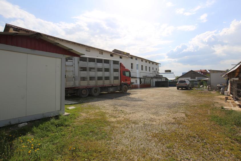 Abator complet functional cu grajduri pentru animale in Bod Colonie