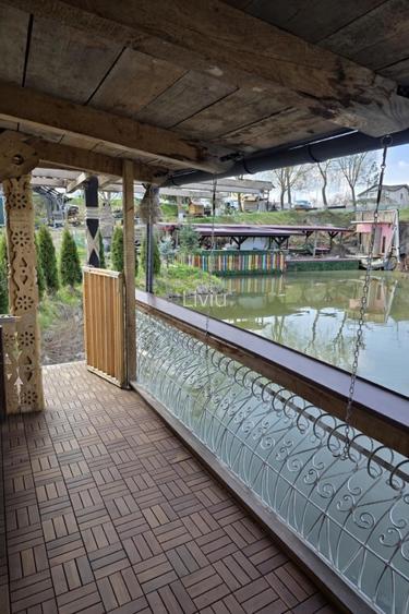 Vând teren cu iaz și livadă de nuci – Ilișești, aproape de Suceava - 2