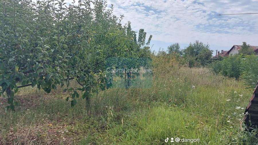 Proprietate cu doua imobile, com Dragutesti. Comision 0% - 19