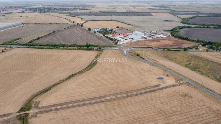 Teren DN6 Timișoara -Cenad sens giratoriu Dudeștii Noi - 18