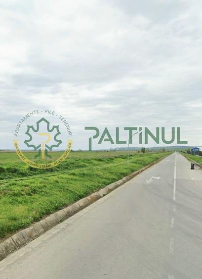Teren de vanzare 6000 mp în Sibiu, Sura Mică