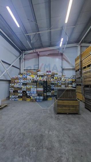 Spațiu industrial de 880mp de vânzare - 7