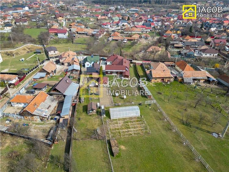 Casa, anexe, 3762 mp teren, 25000 mp padure, Comanesti, jud. Bacau - 4
