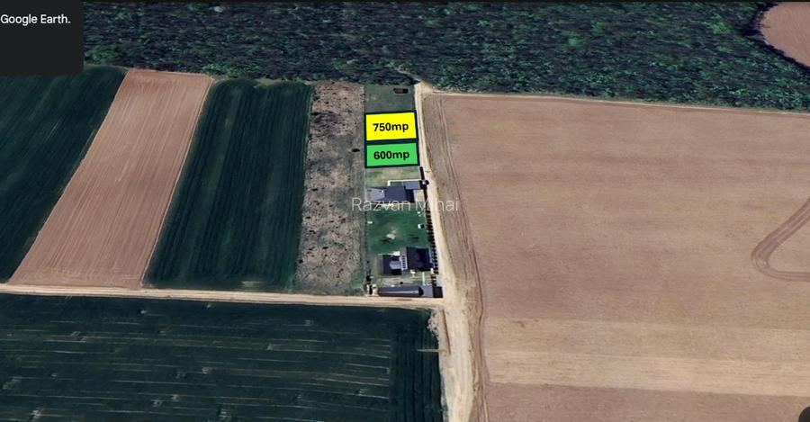 2x Intravilane la marginea Pădurii, zonă Superbă și Liniștită, sat Cultural - 4