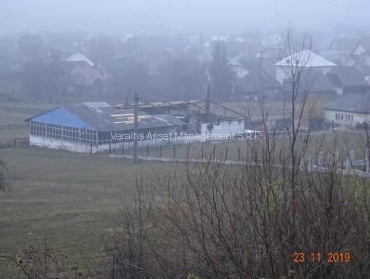 Teren intravilan 1.000 mp + hala debitare si hala prelucrare lemn - 8