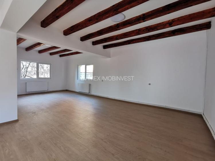 COLENTINA -Dobroesti 5 Camere Vila La Curte - 12