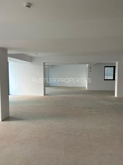 Eminescu Offices – Birouri clasa A de inchiriat pe Strada Mihai Eminescu- Romana - 16